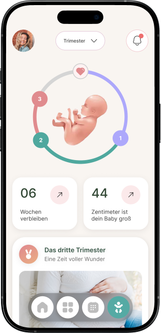Bild eines IPhones das die Freyanda Schnwangerschaftsbegleit-App zeigt